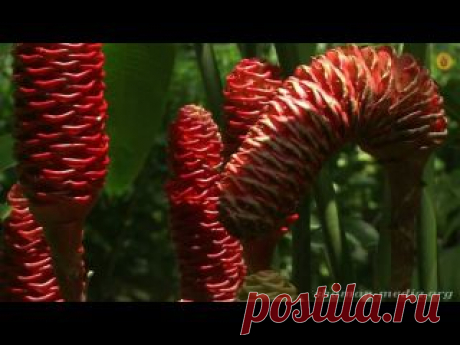 INTERWORLD | Саморазвитие