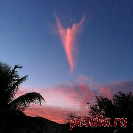 (82) Одноклассники