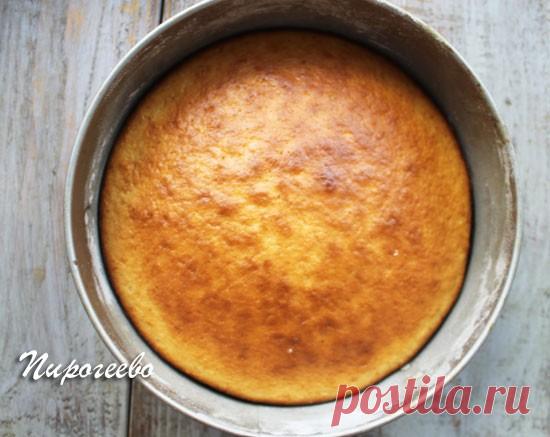 Бисквит на кефире: рецепт с фото пошагово