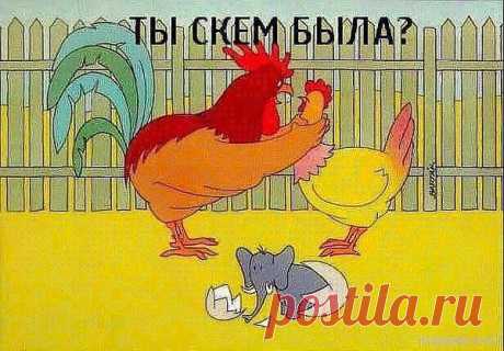 СТРЕЛЕЦ: Сердце решает кого любить... Судьба решает с кем быть...