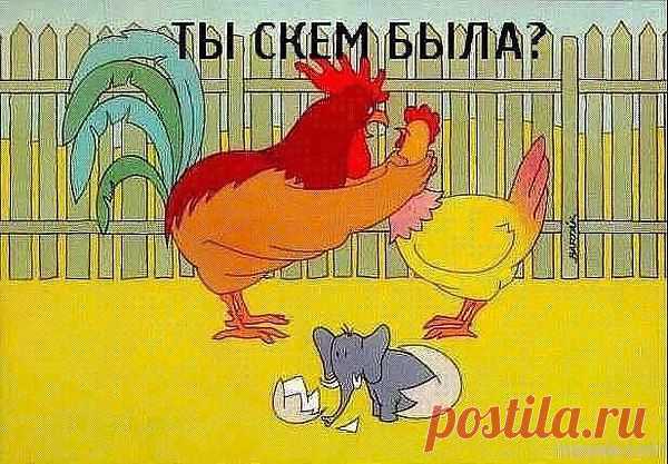 СТРЕЛЕЦ: Сердце решает кого любить... Судьба решает с кем быть...