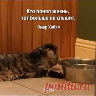AdMe.ru