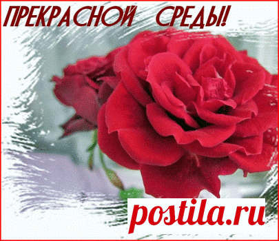 прекрасной среды