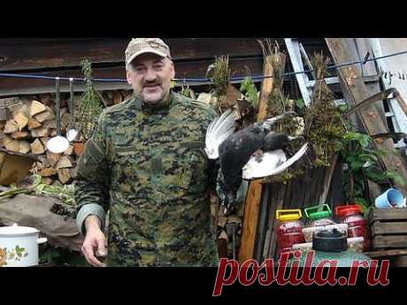 РЕЦЕПТ ТЕТЕРЕВ КОСАЧ НА БЕРЕСТЕ СО МХОМ С КОПЧЁНОЙ КЛЮКВОЙ И РЕВНЕМ - СЮФ КРАСНОДАРСКИЙ - YouTube