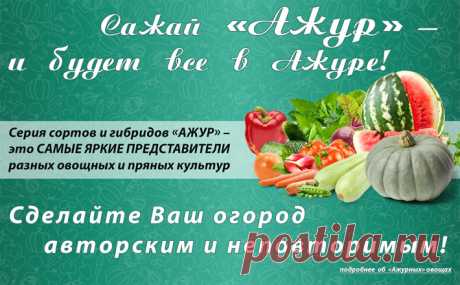 Компания СеДеК - семена почтой, купить семена оптом от производителя