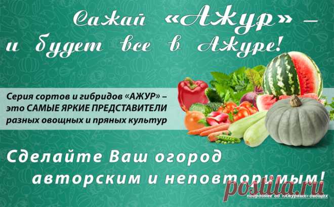 Компания СеДеК - семена почтой, купить семена оптом от производителя