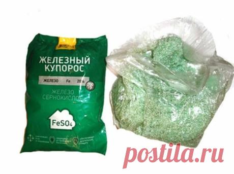 Полейте Железосодержащей подкормкой любое Пожелтевшее растение, и оно зазеленеет на глазах.Делюсь супер-подкормкой | Огородик у дачи | Яндекс Дзен