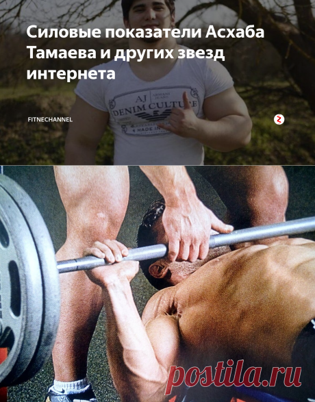 Силовые показатели Асхаба Тамаева и других звезд интернета | fitnechannel | Яндекс Дзен