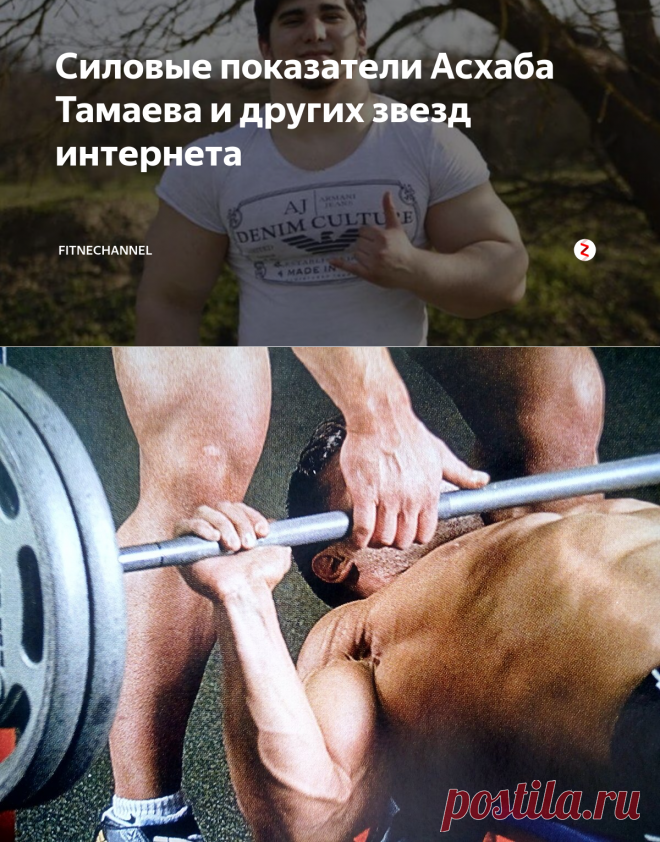 Силовые показатели Асхаба Тамаева и других звезд интернета | fitnechannel | Яндекс Дзен