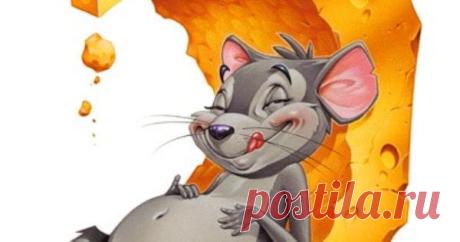 mice