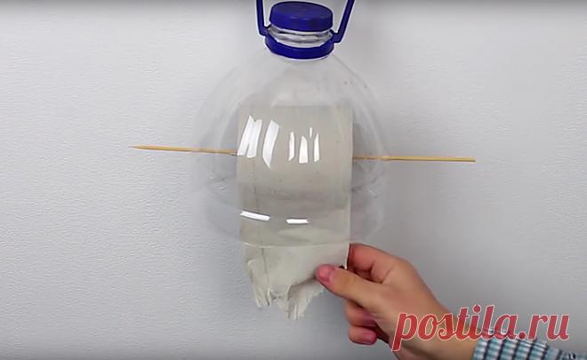 5 полезных, веселых и необычных вещей, которые можно сделать из обыкновенной пластиковой бутылки