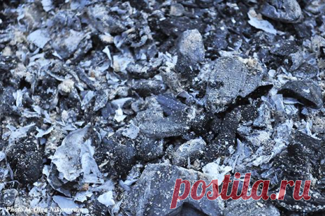 Зола – черное золото! - Дневники дачников