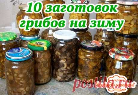 10 заготовок из ГРИБОВ на зиму
1. Засолка грибов - холодный способ.
грибы (рыжики, черные и белые грузди, волнушки, сыроежки) - 1 кг
соль - 100 г
смородина - 10–12 листьев
вишня - 5–6 листиков
хрен - 2 листа
укроп - 2 зонтика
лавровый лист - 2–3 шт.
перец горошком - по вкусу
чеснок - по вкусу