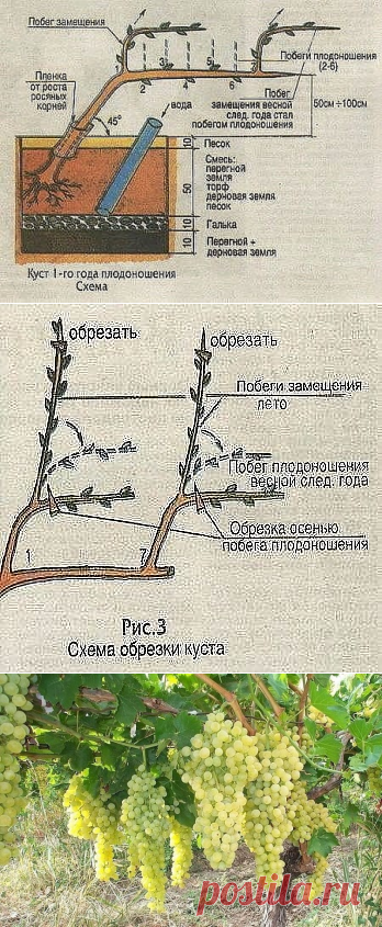 (48) Одноклассники