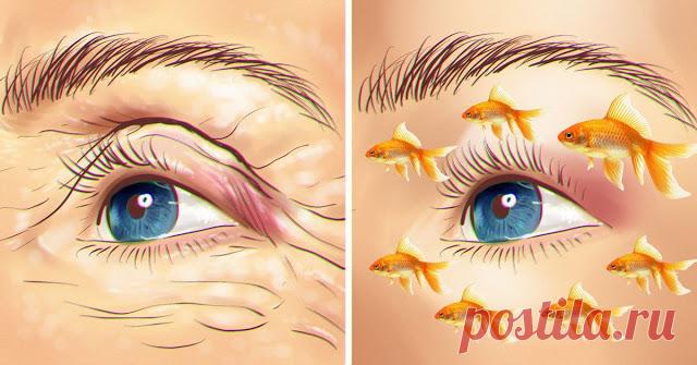 Позабудь о морщинах навек рыбий жир нанося вокруг…(Мне 57,и я порю от счастья) - Зеркало