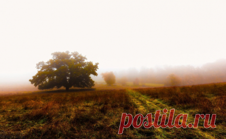 (1) Tumblr