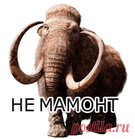 "Войти в IT" или о скрытых лохотронах нашего времени | Пикабу