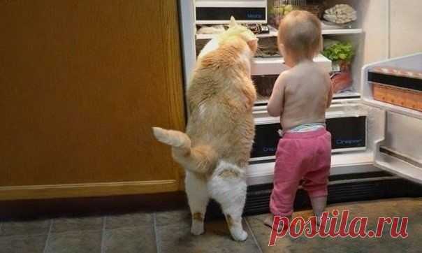 (69) Одноклассники