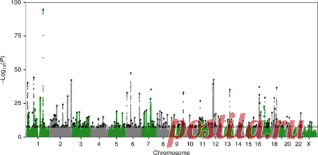 Genome-wide association analyses of chronotype in 697,828 individuals provides insights into circadian rhythms - Nature Communications GWAS have previously found 24 genomic loci associated with chronotype, an individual’s preference for early or late sleep timing. Here, the authors identify 327 additional loci in a sample of 697,828 individuals and further explore the relationships of chronotype with metabolic and psychiatric diseases.