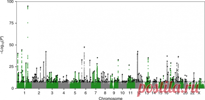 Genome-wide association analyses of chronotype in 697,828 individuals provides insights into circadian rhythms - Nature Communications GWAS have previously found 24 genomic loci associated with chronotype, an individual’s preference for early or late sleep timing. Here, the authors identify 327 additional loci in a sample of 697,828 individuals and further explore the relationships of chronotype with metabolic and psychiatric diseases.