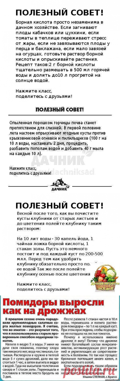 (95) Одноклассники