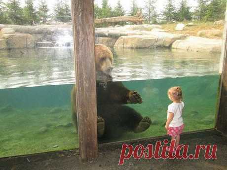 Приглашаю к сотрудничеству целеустремленных людей,для работы в интернете,работа не сложная и перспективная,доход реален и материален.Особых навыков не требуется, подробный материал присылается на Вашу почту.Это та работа, где действительно платят на ваш р.с в банке,без обманов и задержек!Никакого вложения не требуется!Ставьте &quot;+&quot; в комментарий и КЛАСС,что бы узнать подробности