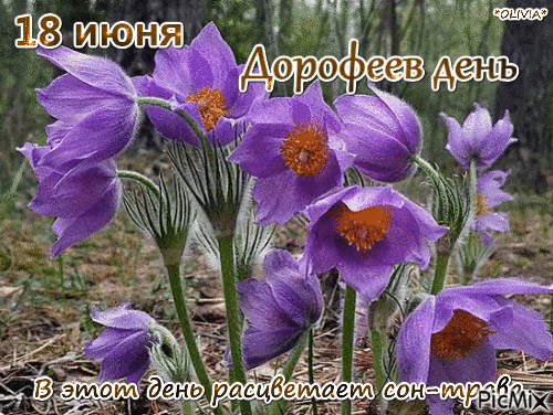 Поздравляю с Дорофеевым днём! Пусть в этот светлый праздник святой Дорофей оберегает твой дом от любых невзгод. Открытки на Дорофеев день!