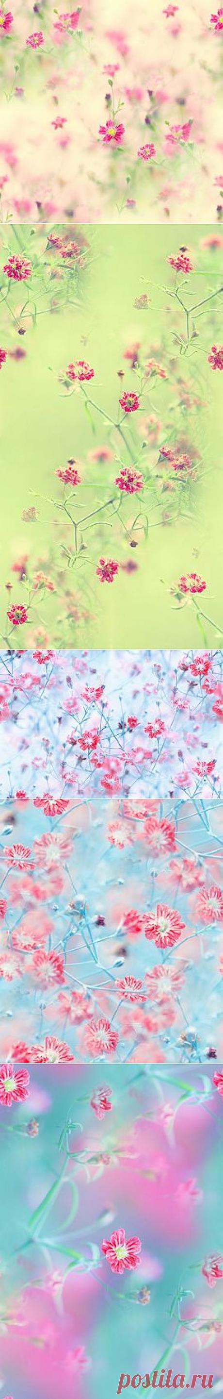 фоны из фотографий by =lpdragonfly — Прекрасные фоны для дневников