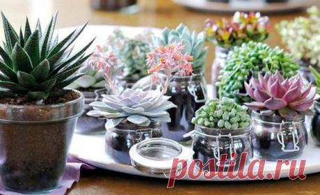 Кому из нас не хочется сделать свой дом более уютным, не потратив при этом много сил и времени? Мы собрали для вас простые, но эффективные советы, следуя которым вы преобразите свое жилище