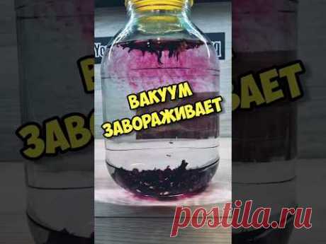 настойка под вакуумом #самогон #бухлишко #shots #вакс