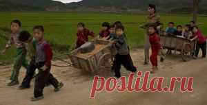 Ополченцы ЛНР организовали для силовиков «дорогу смерти» | Ваше мнение