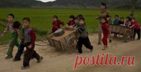 Ополченцы ЛНР организовали для силовиков «дорогу смерти» | Ваше мнение