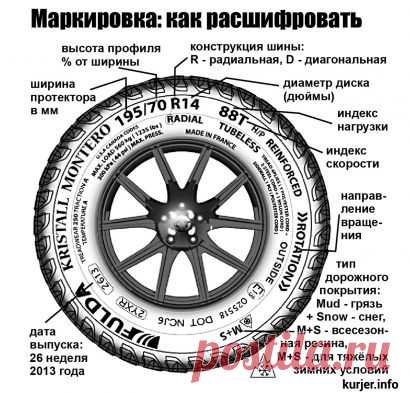 В Беларуси вступили дополнения к ПДД