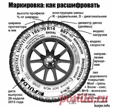 В Беларуси вступили дополнения к ПДД