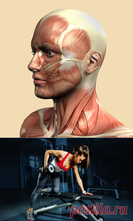 Как ГОЛОДАНИЕ запускает омоложение мозга? | Всегда в форме!