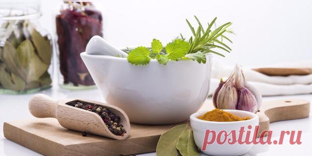 Рецепты народной медицины: 8 натуральных средств помогут быстро унять зубную боль