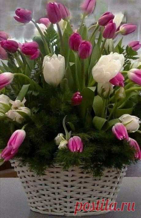 (1) Группы | Facebook