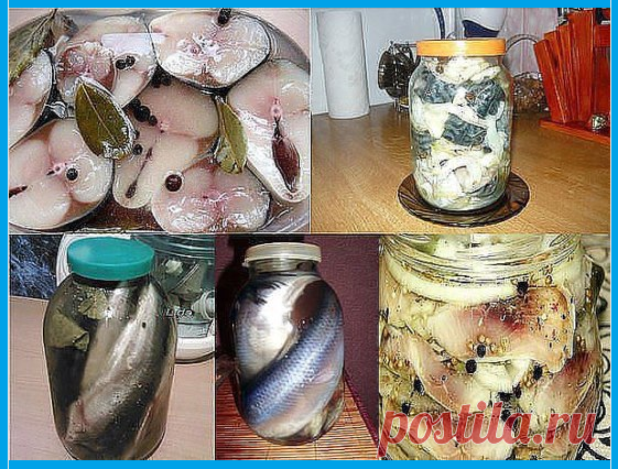 25 рецептов соленой рыбки