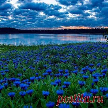 Наш общий ДОМ