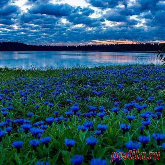 Наш общий ДОМ