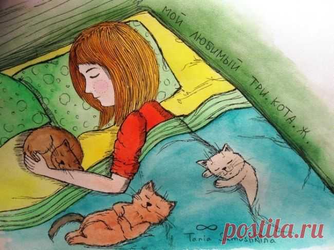 Мой любимый три.кота.ж.