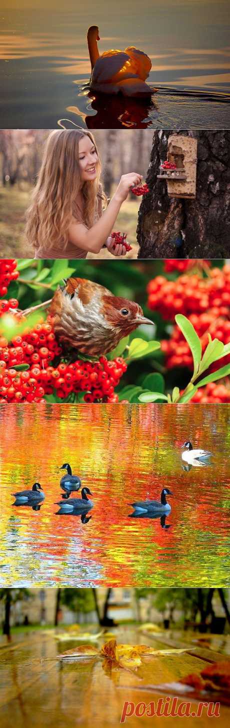 Счастье, словно шелест под ногами....