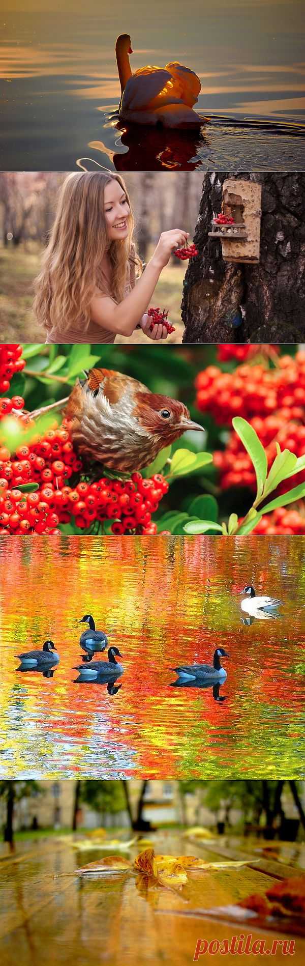 Счастье, словно шелест под ногами....