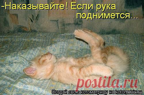 (2) Одноклассники