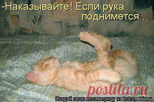 (2) Одноклассники