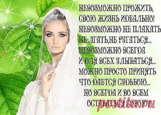 (67) Одноклассники
