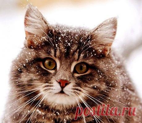 Интересные новости