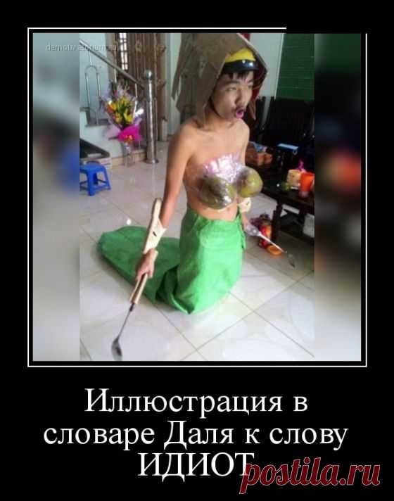 Демотиваторы - приколы