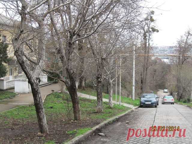Люблю Севастополь !!!
Светлана Лебедева