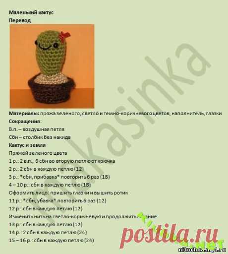 Маленький кактус